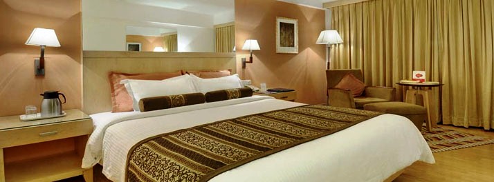 293/The Pride Hotel - Ahmedabad 10.jpg